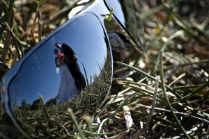 Reflection Wedding Photo