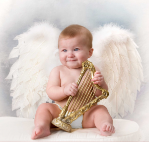 Cherub Baby Portraits