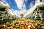 Beautiful Fall Wedding Aisle