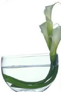 Unique Calla Lily Arrangement