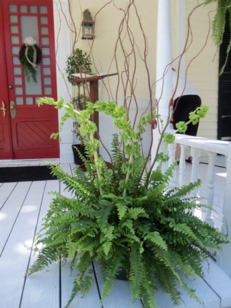 Fern with Bells & Curly Willow