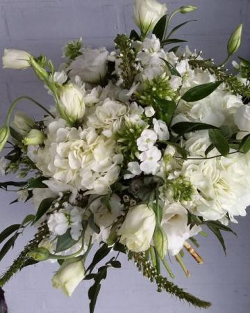 White Wildflowers