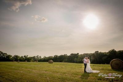 Field Romance