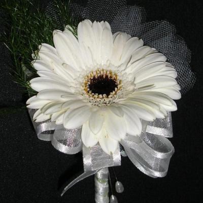 White Gerbera Boutonniere