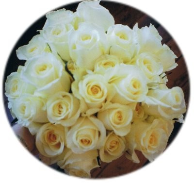 White Roses