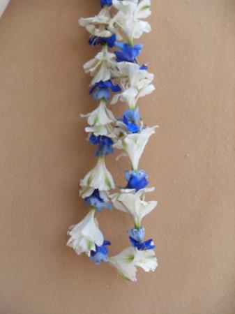 Blue and White Lei