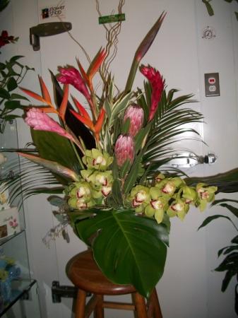 Perfect Tropical Arrangement