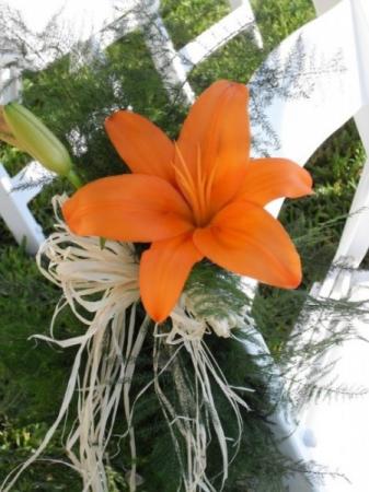 Beautiful Orange Chair Decoration