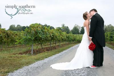 Vineyard Wedding Portrait