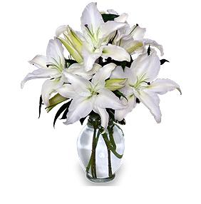 Beautiful Lily Arrangement Beautiful Lily Arrangement