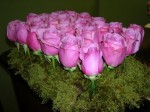 Bed Of Roses