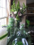 Green Candy Bar