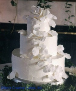 Elegant 2 Tiered Wedding Cake