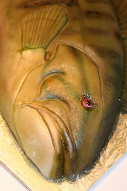 Fish Face Theme Cake