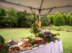 Fun, Outdoor Party Fun, Outdoor Party