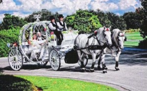 Wedding Horse Carriage