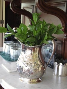Mint Leaves