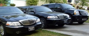 Limousine Rentals
