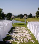 Outside Wedding
