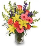 Send Flowers Send Flowers