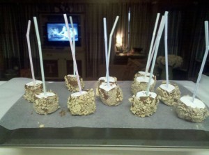 S'mores On A Stick S'mores On A Stick