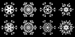 Snowflakes by Robert Proksa