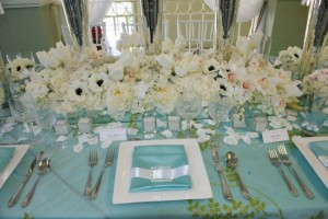Tiffany Blue & White Tiffany Blue & White