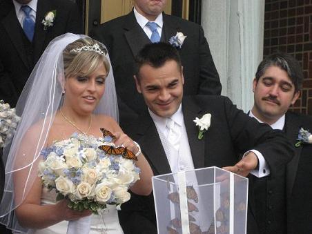 Wedding Butterflies Wedding Butterflies