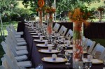 Wedding Reception