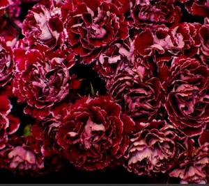 Carnation Wedding Bouquet