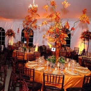 fall decor