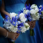 iris-bouquets Beauty In Blue Iris Bouquet