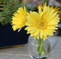 Gerbera Daisy Wedding Shower Decoration