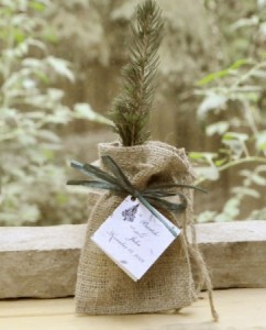 seed favors