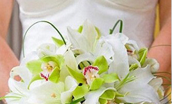 top-photo1-bride(1)