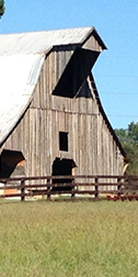 trend-3-barnparty