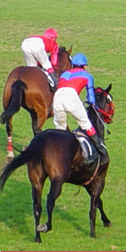trend-4-Derby
