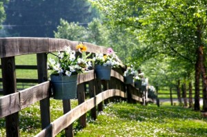 weddingflowers