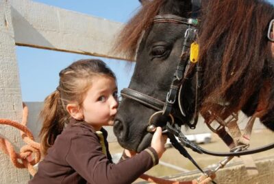 Healing Hooves