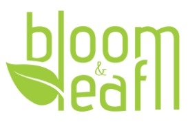 BLOOM AND LEAF