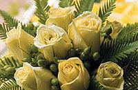 CAPE CORAL FLORAL DESIGNS