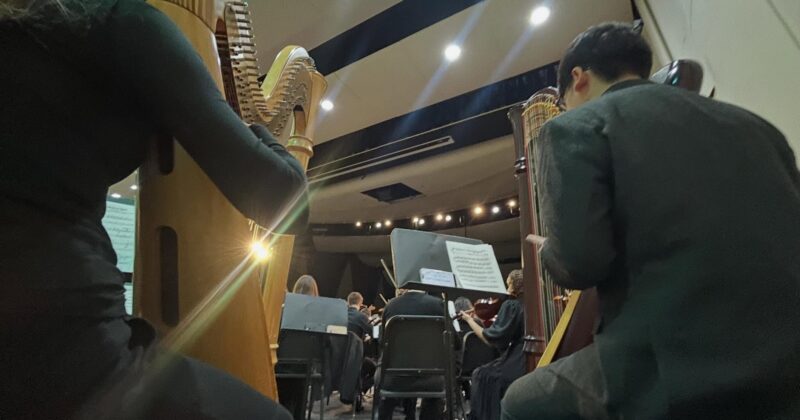 Meg Rodgers, Harpist
