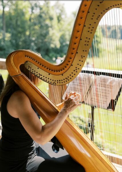 Meg Rodgers, Harpist