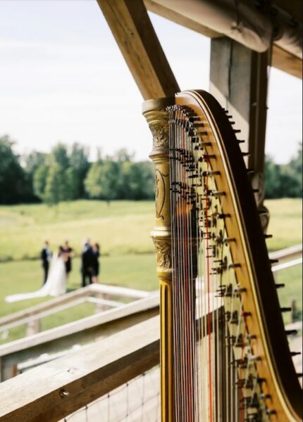 Meg Rodgers, Harpist
