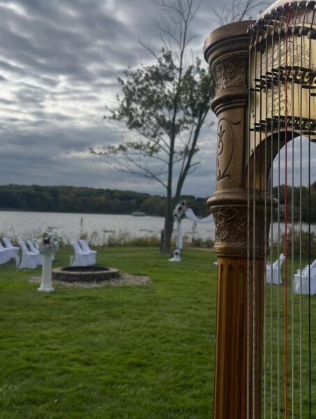 Meg Rodgers, Harpist