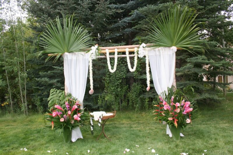 Primavera Plants & Flowers