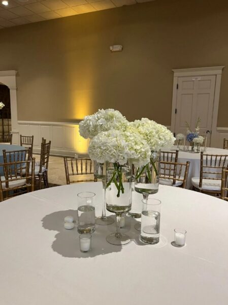 Timeless Designs