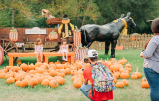 Mrs. Heather's Farm