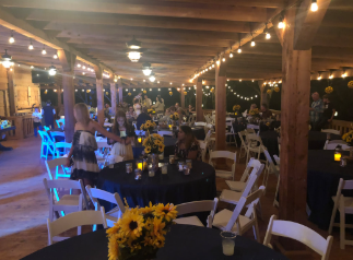 Nellis Vineyards