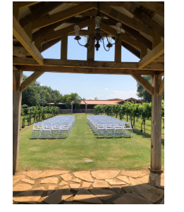 Nellis Vineyards